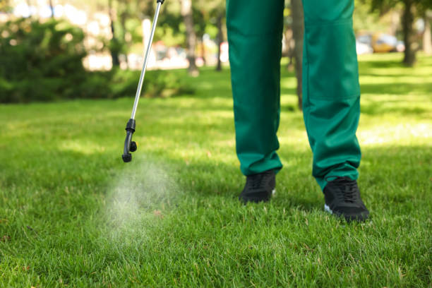 Best Rat Extermination Near Me  in North Branch, MN
