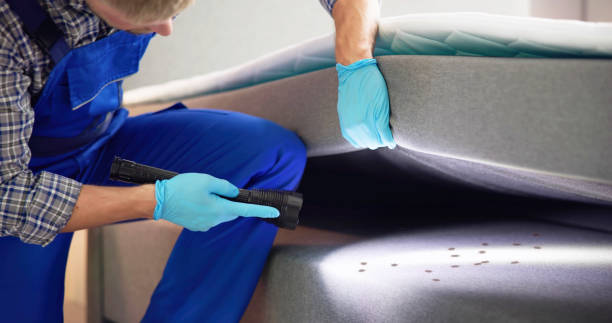 Best Affordable Pest Control Services  in North Branch, MN