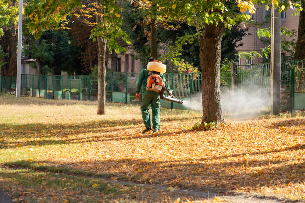 Best Pest Control for Homes  in North Branch, MN